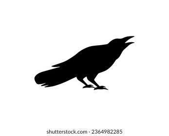 Horror Halloween Crow Line Art