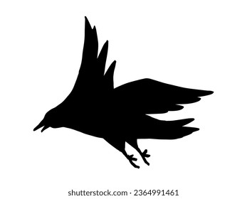 Horror Halloween Crow Line Art