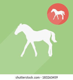 Horse 