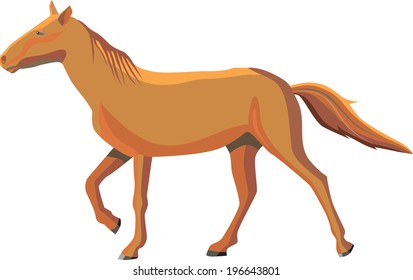 horse