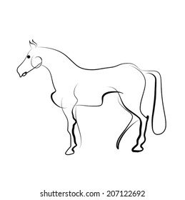 horse