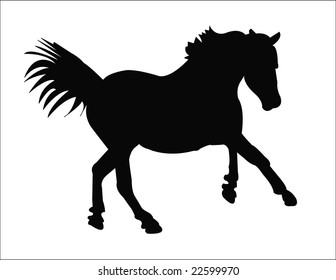 horse