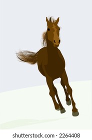 horse