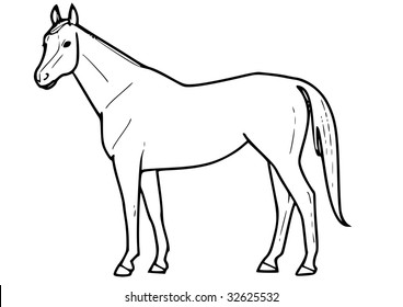 Horse