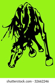 horse