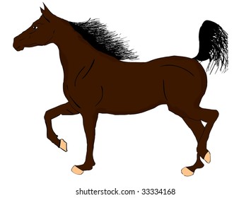 horse