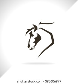 horse