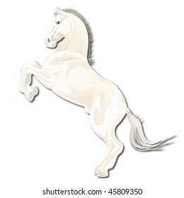 horse