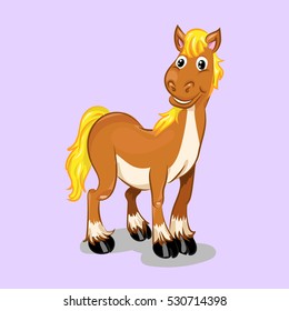 horse