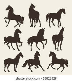 horse