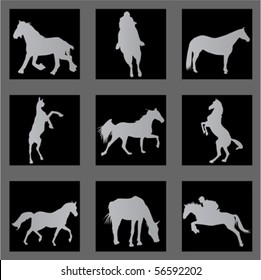 horse