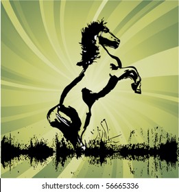horse