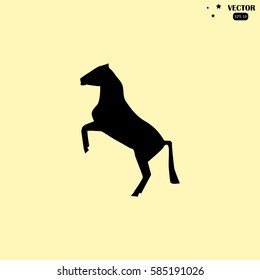 horse