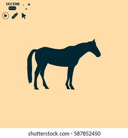 horse