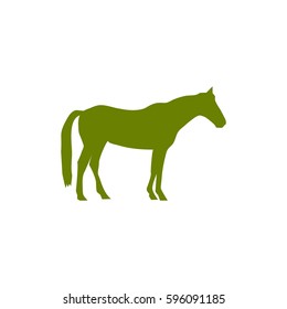 horse
