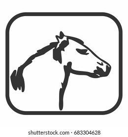 horse