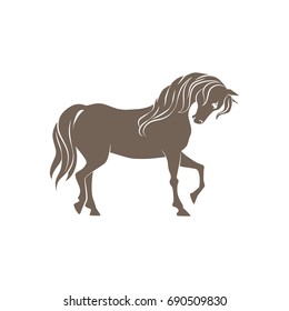 horse
