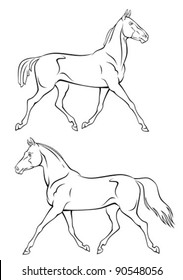 Horse
