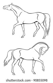 Horse