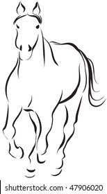 Horse 6