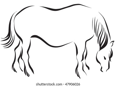 Horse 8