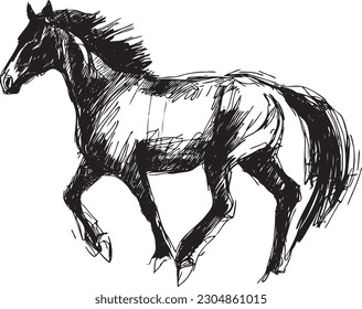 horse abstract vector image with strokes on white background sketch