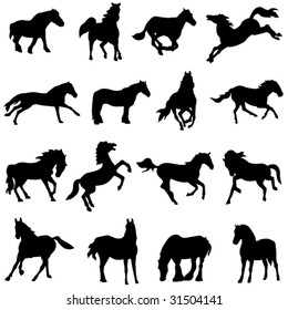 Horse from all over the world