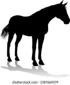 A horse animal detailed silhouette graphic