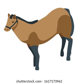 Horse animal icon. Isometric of horse animal vector icon for web design isolated on white background