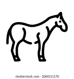 horse animal line icon vector. horse animal sign. isolated contour symbol black illustration