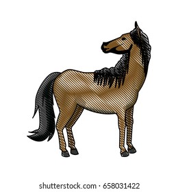 horse animal mammal nature equine icon