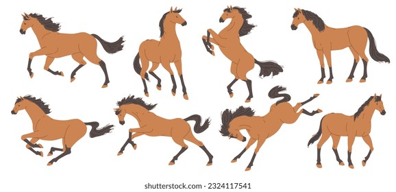 Horse animal set in motion flat vector illustration isolated on white background. Horses characters for race competition and riding and rodeo events designs.