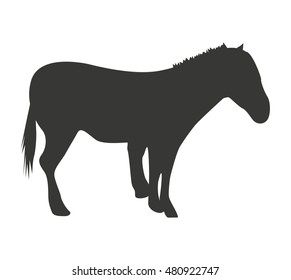 horse animal silhouette isolated vector illustration design