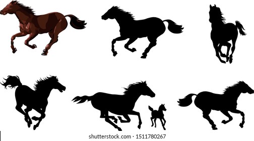 Horse animal silhouettes set. Vector graphics