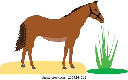 Horse Animal vector Art Design
 