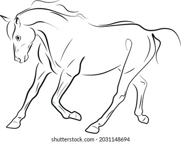 Horse Arabian Foal Drawing Black Vector Illustration