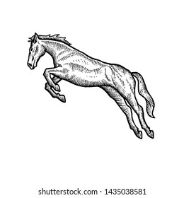 Horse art design black and white