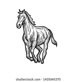 Horse art design black and white