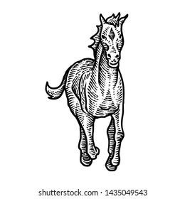 Horse art design black and white