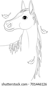horse, autumn