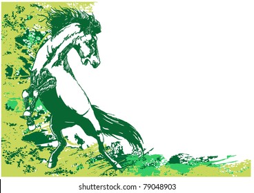 horse background