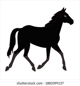 horse- black horse- horse black- animal- horse design- horse vector
