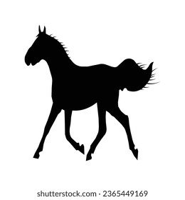 Horse black icon stock illustration