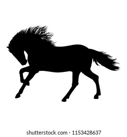 Horse black  Isolated silhouette - Vector Illustration. Beautiful Horse racing