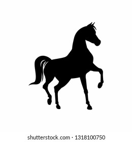 Horse black silhouette. Equestrian vector illustration.