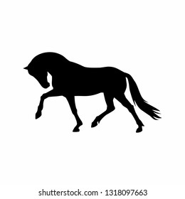 Horse black silhouette. Equine vector illustration.
