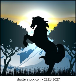 horse black silhouette pasture