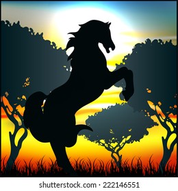 horse black silhouette sunrise landscape