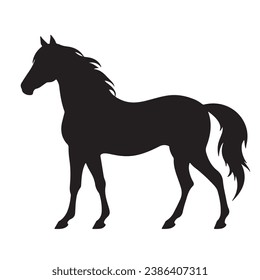 A horse black Silhouette vactor

