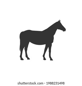 Horse black silhouette vector on a white background